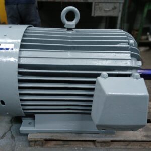 Motor Arno 300cv 6Polos(1100Rpm)220/380